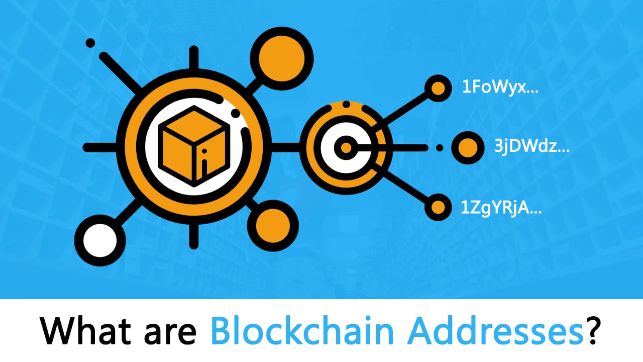 find blockchain address